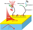 Split aptamer