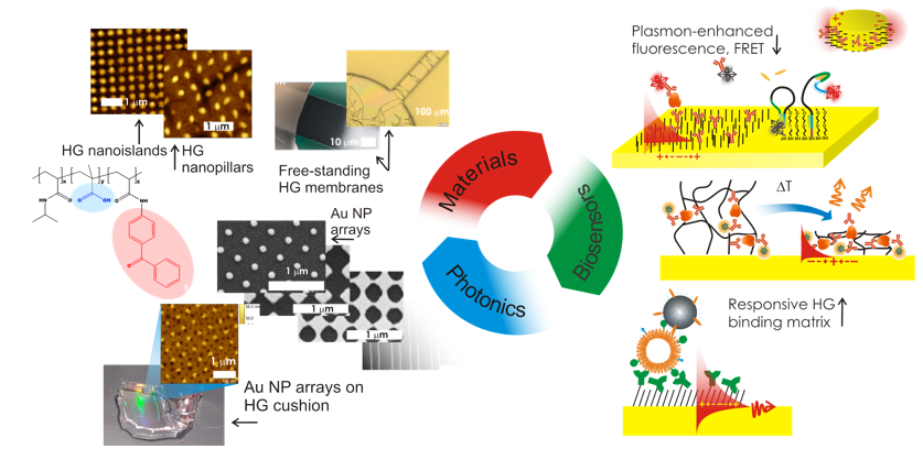 HE Austrian Institute of Technology - Dostalek Plasmonic Biosensor Group